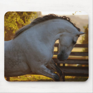 Power Of An Andalusian Mare Mouse Pad