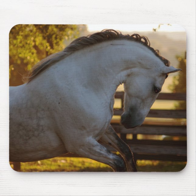 Power Of An Andalusian Mare Mouse Pad (Front)