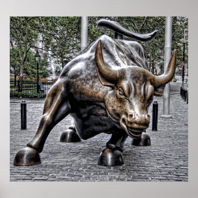 Power of the bull poster (Front)