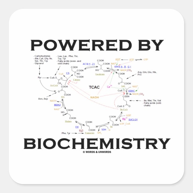Powered By Biochemistry (Krebs Cycle) Square Sticker (Front)