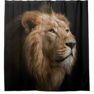 Powerful Lion Portrait with Dark Background