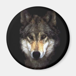 powerwolf magnet