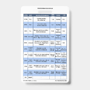 PPS / KPS Badge Buddy for Hospice Nurses