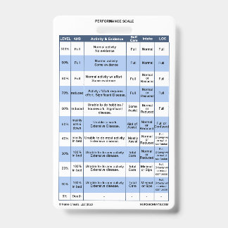 PPS / KPS Badge Buddy for Hospice Nurses