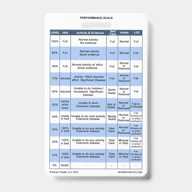 PPS / KPS Badge Buddy for Hospice Nurses (Front)