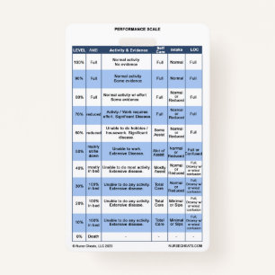 PPS / KPS Badge Buddy for Hospice Nurses