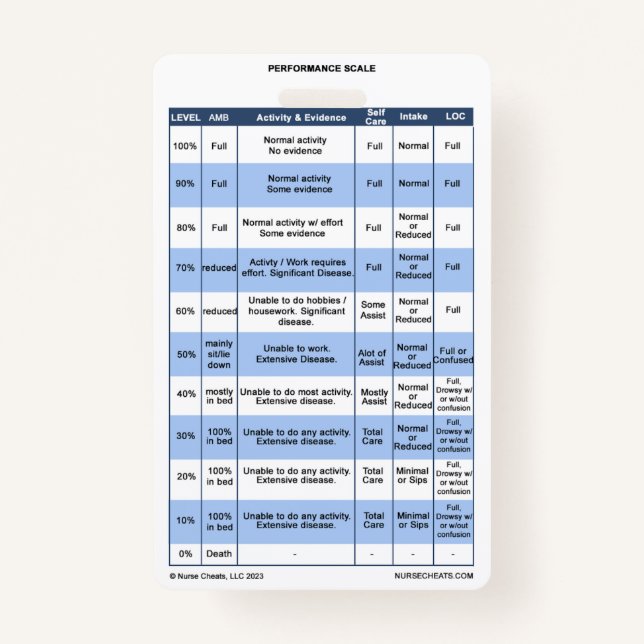 PPS / KPS Badge Buddy for Hospice Nurses (Front)