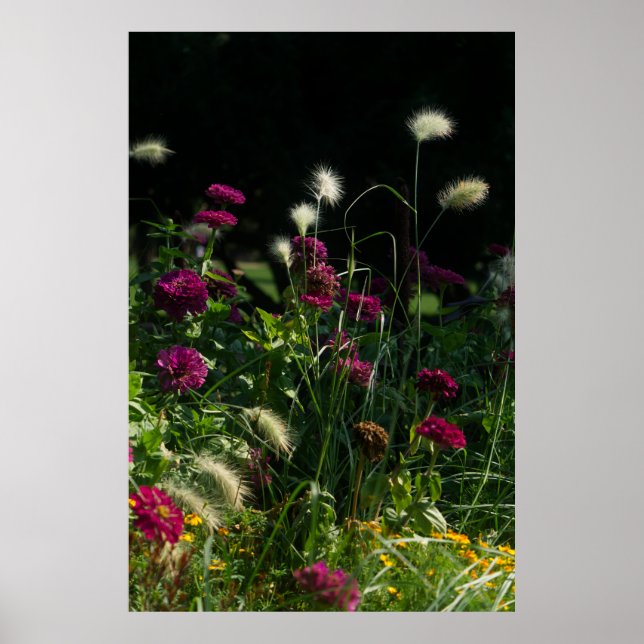 Prague Park Flower Garden Poster (Front)