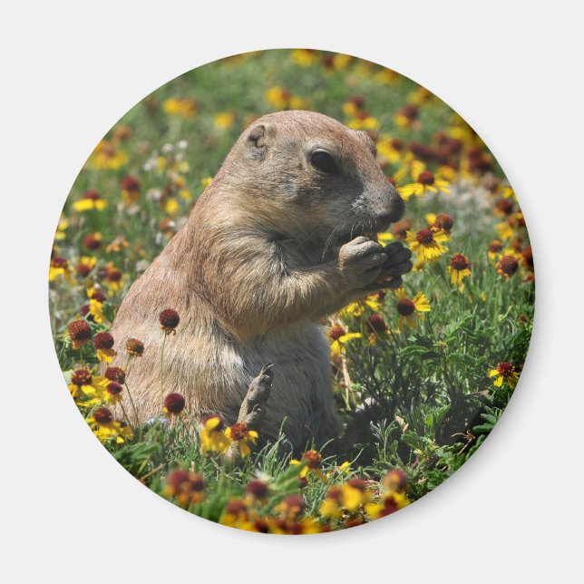 Praire Dog Magnet (Front)