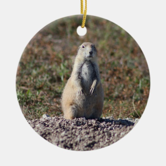 Prairie Dog at Badlands National Park, Interior SD Ceramic Ornament (Front)