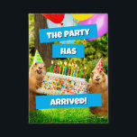 Prairie Dog Birthday Party<br><div class="desc">The party has arrived! | Avanti,  the Global Humour Brand™ has been entertaining the world with its Feel Good Funny greeting cards for over 40 years. Our characters live life to the fullest and celebrate the humour in everyday life.</div>
