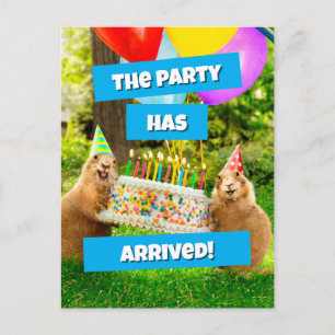 Prairie Dog Birthday Party Postcard