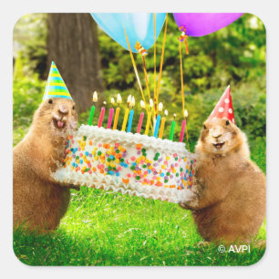 Prairie Dog Birthday Party Square Sticker