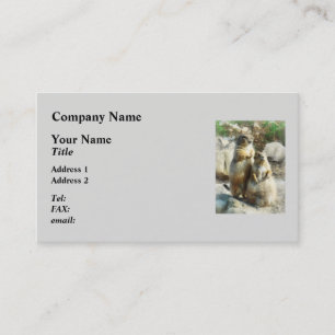 Prairie Dog Formal Portrait Business Card