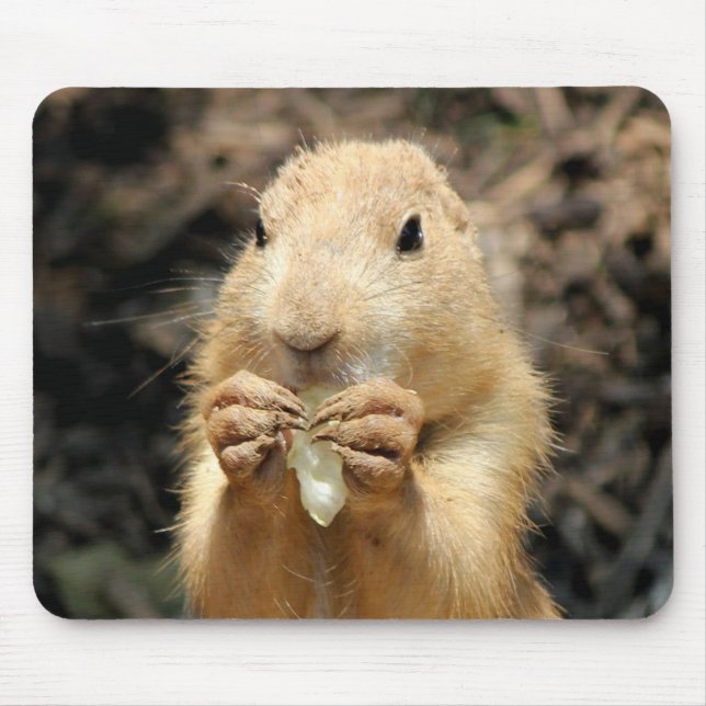 Prairie Dog Having a Snack Mouse Pad (Front)