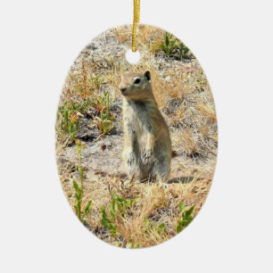 Prairie Dog in Yosemite, CA Ceramic Ornament