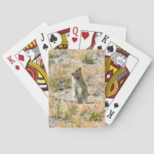 Prairie Dog in Yosemite, California Playing Cards