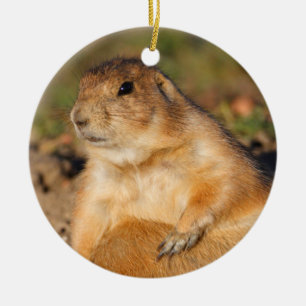 prairie dog is full ceramic ornament