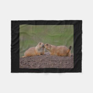 prairie dog kiss fleece blanket