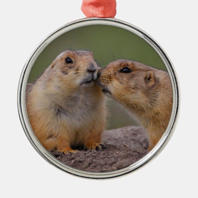 prairie dog kiss metal ornament (Front)