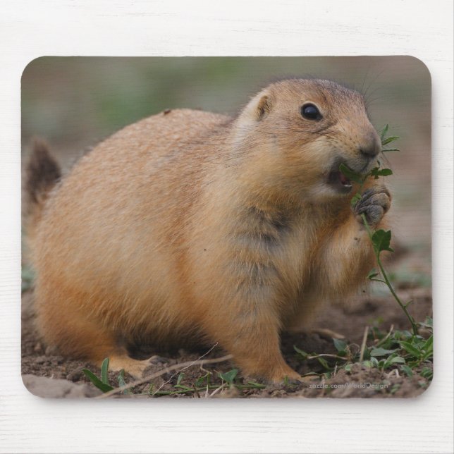 Prairie Dog Mouse Pad (Front)
