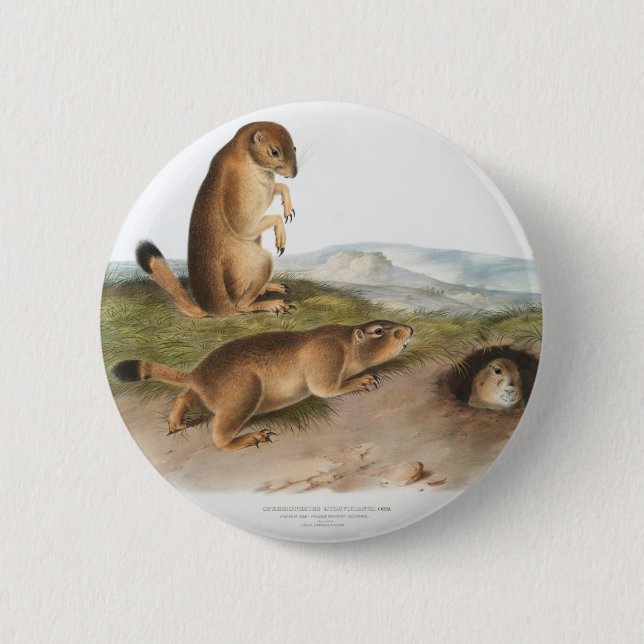 Prairie Dog or Prairie marmot squirrel Camping 2 Inch Round Button (Front)