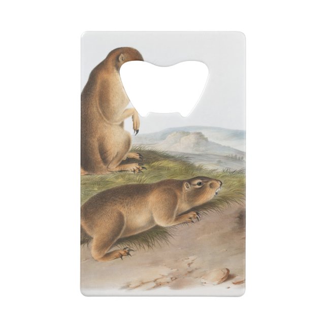 Prairie Dog or Prairie marmot squirrel Camping Credit Card Bottle Opener (Back)