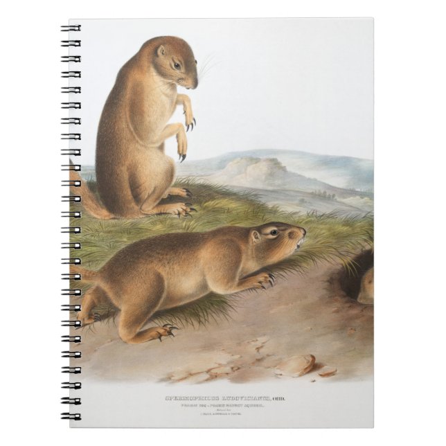 Prairie Dog or Prairie marmot squirrel Camping Notebook (Front)