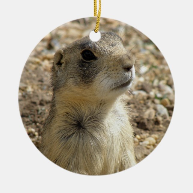 Prairie Dog Ornament (Front)