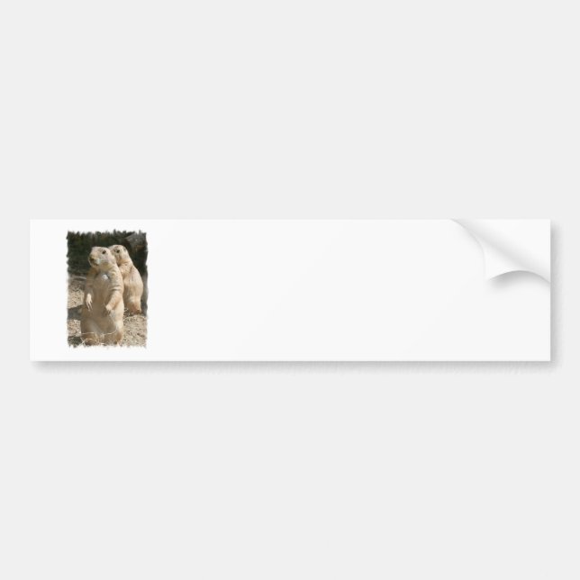 Prairie Dog Photo Bumper Sticker (Front)
