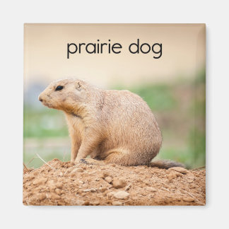 Prairie Dog Refrigerator Magnet
