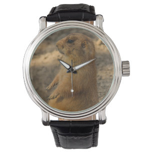 Prairie Dog Watch