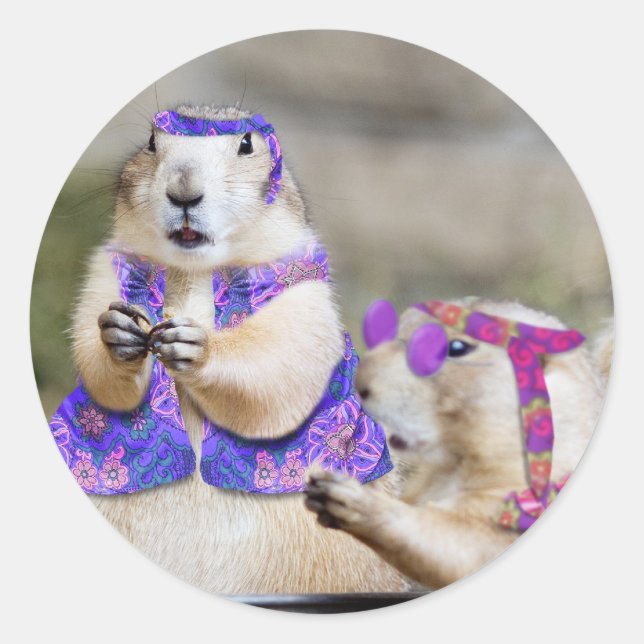 Prairie Dogs are GROOVY! Classic Round Sticker (Front)
