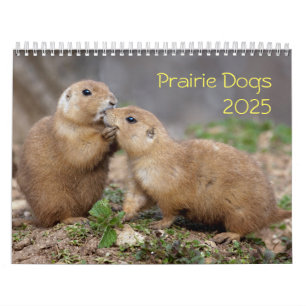 Prairie Dogs Calendar 2025