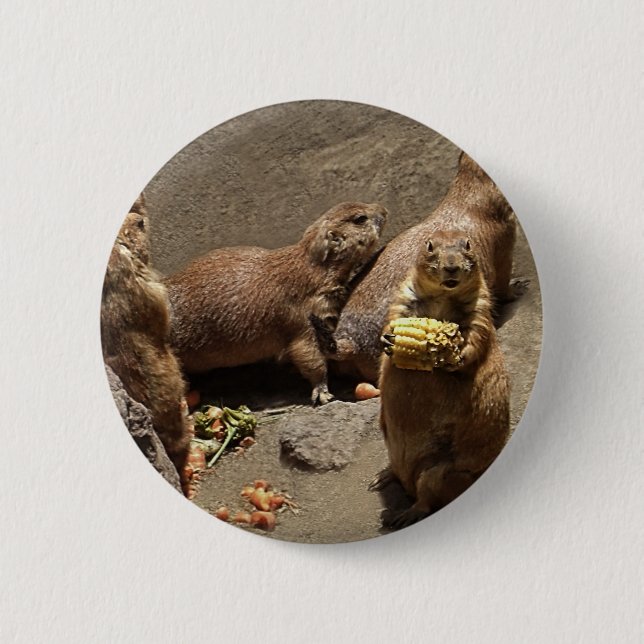 Prairie Dogs Eating Dinner 1 2 Inch Round Button (Front)