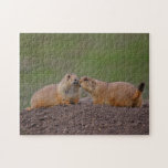 prairie dogs kissing jigsaw puzzle<br><div class="desc">prairie dogs kissing,  razor sharp and clear image using large file size</div>