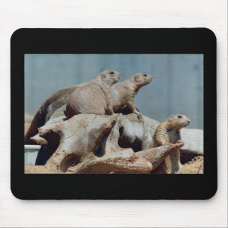 Prairie Dogs Mousepad
