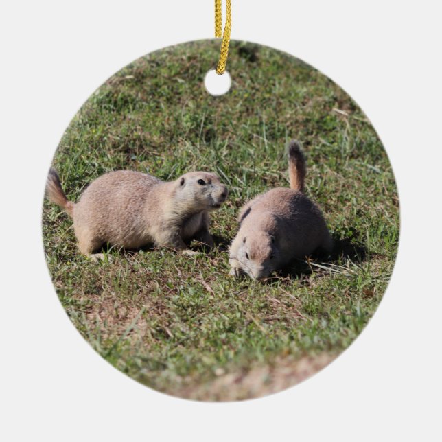 Prairie Dogs Playing in Badlands National Park, SD Ceramic Ornament (Front)