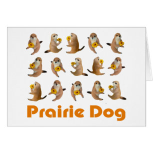 prairie dog's stuffed toy