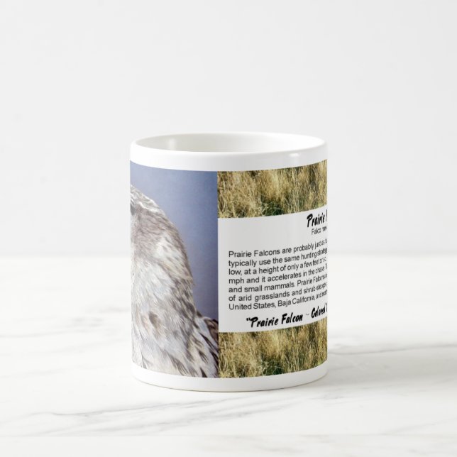 Prairie Falcon Coffee Mug (Center)