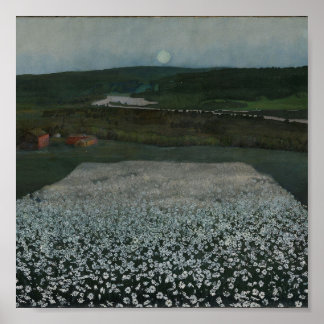 Prairie fleurie dans le Nord - Impression d'art fi