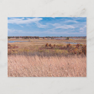 prairie grasses and wetlands at necedah postcard