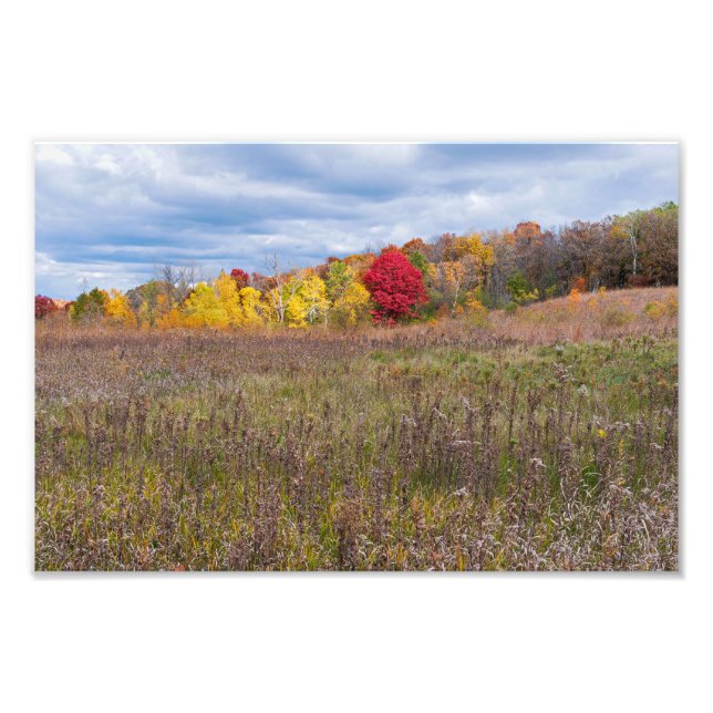 prairie landscape in autumn at afton state park  photo print (Front)