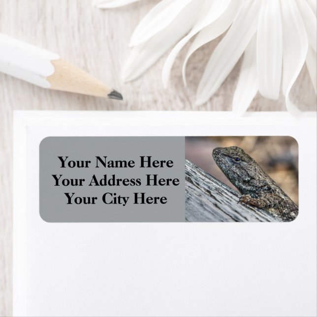 Prairie Lizard (Insitu)