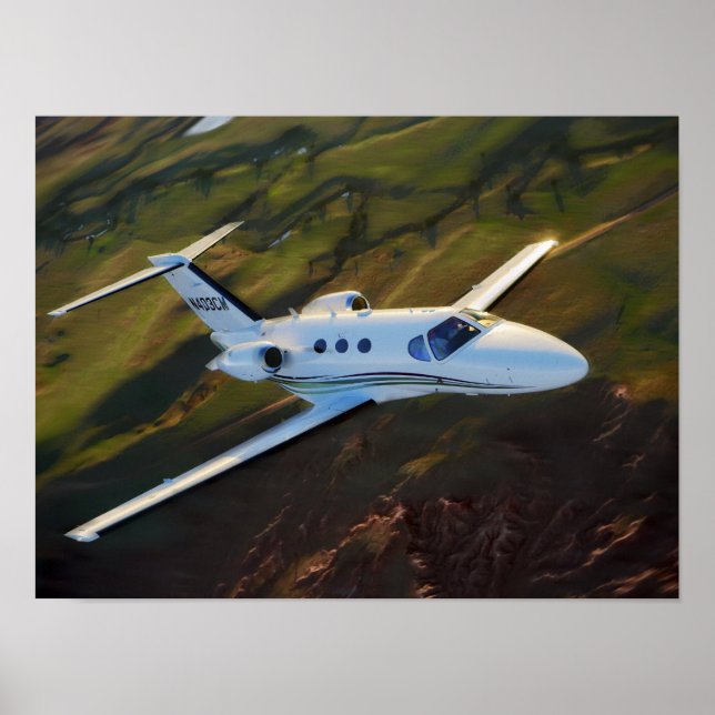 Prairie Mustang Poster (Front)