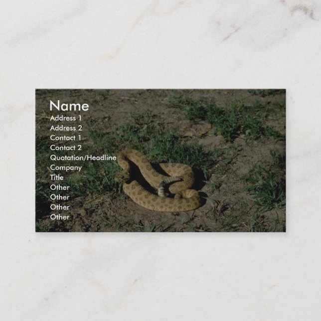 Prairie rattlesnake business card (Front)