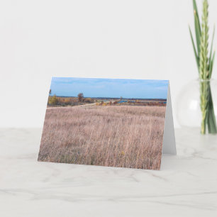 prairie road at necedah refuge holiday card