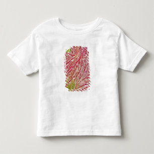 Prairie Smoke in the rain at Theodore Toddler T-shirt