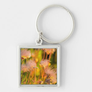 Prairie Smoke Wildflowers In Aspen Grove Keychain