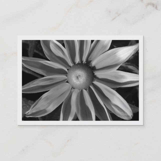Prairie Sun Rudbekia, Mini Photo Business Card (Front)